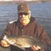Profile Picture of David Brandt (@basicasphalt2678) on Pinterest