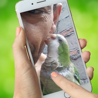 Profile Picture of Arfio Lucas Vignoli Diaz (@arfiolucas.vignolidiaz.3) on Facebook