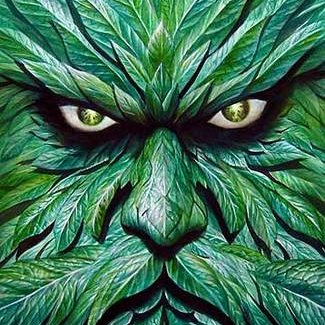 Profile Picture of Stephen Davis (@raven_scout) on Twitter