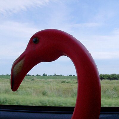 Profile Picture of James Spratt (@JimmyFlamingo) on Twitter