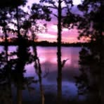 Profile Picture of Sam Coopersmith (@Sam-Coopersmith) on Facebook