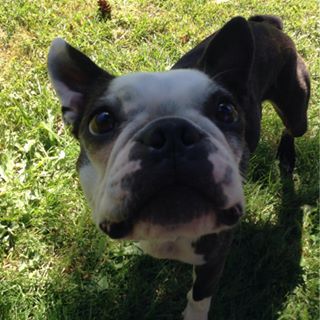 Profile Picture of Mackenzie Stiles (@mackenzie.stiles) on Facebook