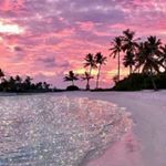 Profile Picture of dohotariu adelina (@dohotariu.adelina) on Instagram