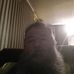 Profile Picture of Terry Rountree (@terry.rountree.39) on Facebook