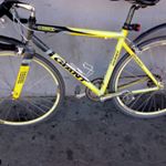 Profile Picture of daniel guttmann (@5139daniel) on Instagram