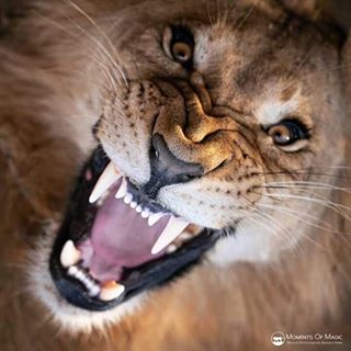 Profile Picture of Dani Constantine (@dani.madani.98) on Facebook