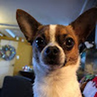 Profile Picture of Kevin Arsenault (@kevin-arsenault-31) on Quora