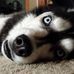 Profile Picture of Ronald Peterson (@ronald.peterson.96199) on Facebook