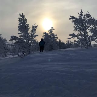 Profile Picture of 'Ida Jensen (@ida_reinhold) on Instagram