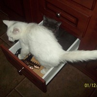 Jerry Taylor - Quora Profile Picture of Jerry Taylor (@jerry-taylor-35) on Quora