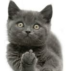 Profile Picture of Mark Wetherald (@mark.wetherald) on Facebook