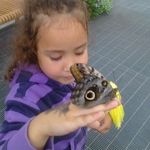 Profile Picture of Sophia Cordell (@sophie_pear67) on Instagram