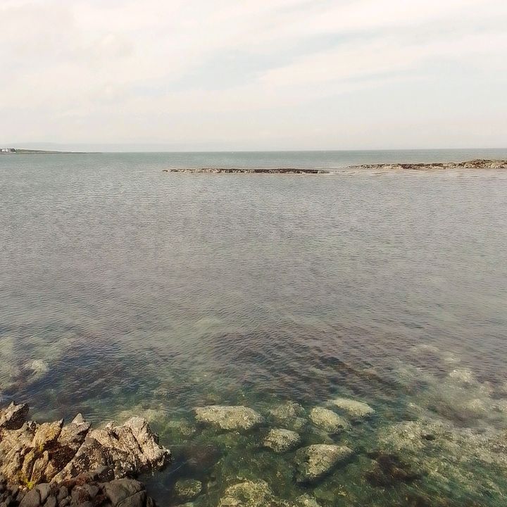 Profile Picture of louiemcconnell (@louiemcconnell) on Tiktok