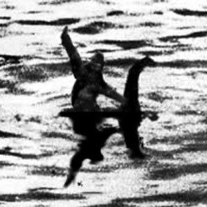 Profile Picture of Andy Conner (@xacdis) on Twitter