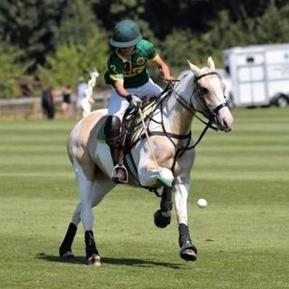 Profile Picture of Benjamin Kenneth Howard 🇬🇧 (@benhowardpolo) on Instagram