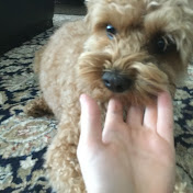 Profile Picture of Christopher Jefferies (@christopherjefferies1890) on Youtube