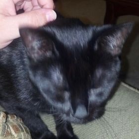 Profile Picture of scott beeby (@sbeebs66) on Pinterest