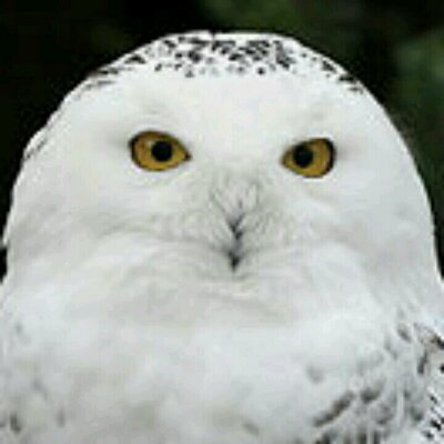 Profile Picture of Eric James McDermott (@emcdermott4829) on Twitter