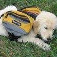 Profile Picture of Debra Quick (@debra-quick-1) on Quora