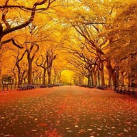 Hunter Schofield - Quora Profile Picture of Hunter Schofield (@hunter-schofield) on Quora