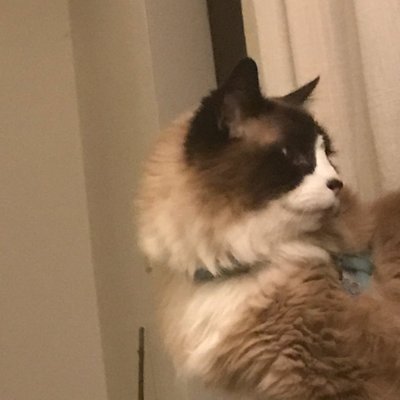 Profile Picture of James Galarneau (@jamesgalarneau) on Twitter