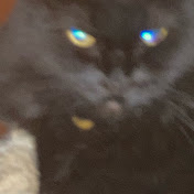 Profile Picture of Jeremy Turner (@jeremyturner4257) on Youtube