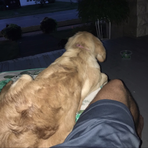 Profile Picture of Josh Carlisle (@joshcarlisle) on Poshmark