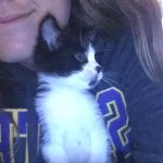 Profile Picture of tillikum weaver (@tillywillykum) on Instagram