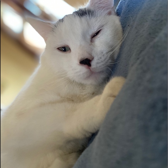 Profile Picture of Michele Calufetti (@pnightrain) on Poshmark