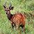 Profile Picture of Paul Wesson (@paulw3125) on Pinterest