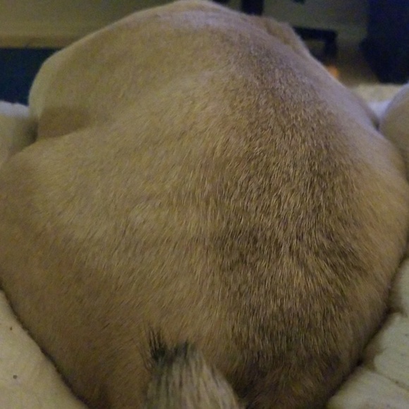 Profile Picture of Travis Dawson (@travis_dawson) on Poshmark