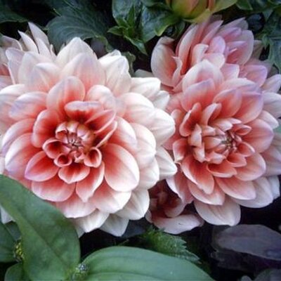 Profile Picture of Len Lewandowski (@lenlewadowski) on Twitter