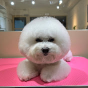 Profile Picture of Ming-yin Tsai (@ming-yintsai3529) on Youtube