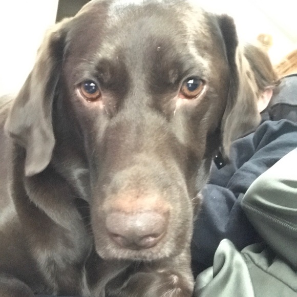 Profile Picture of Jason Fidazzo (@jfidazzo) on Poshmark