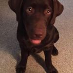 Profile Picture of Patrick Gauld (@gauldpatrick) on Instagram