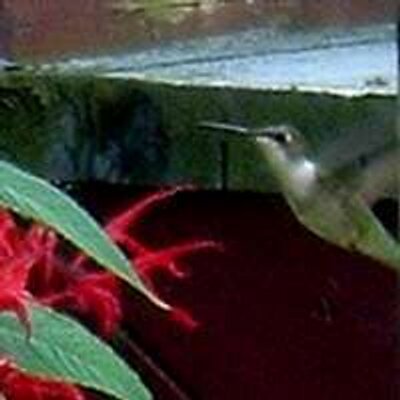 Profile Picture of Daniel Dugas (@DanielDDugas) on Twitter
