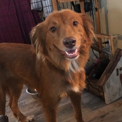 Profile Picture of Leigh Heath (@ecugrad2012) on Twitter