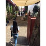 Profile Picture of Luz Resendiz (@luzresendizcontreras) on Instagram