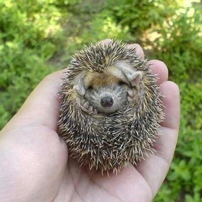 Profile Picture of Michele Grider (@GranMnRN) on Twitter