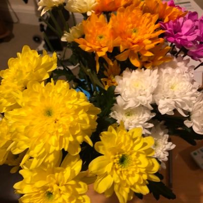 Profile Picture of Sandra Sutton (@theSandyWitch) on Twitter