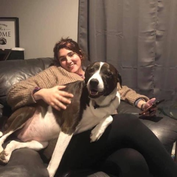 Profile Picture of Epiphany Chasmar (@piphy9) on Poshmark