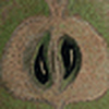 Profile Picture of Max Core (@McSim.ru) on Flickr