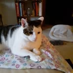 Jan Neitzel - Facebook Profile Picture of Jan Neitzel (@jan.neitzel.129) on Facebook