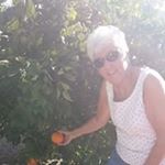 Profile Picture of Carol Dickerson (@carol.dickerson.90) on Instagram