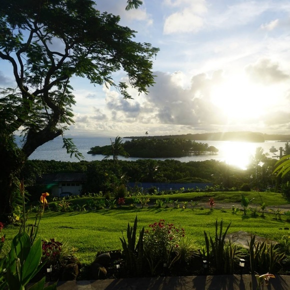 Profile Picture of Alice Lee (@vatuvia) on Poshmark