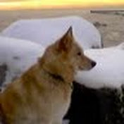 Profile Picture of David Kuhl (@brothersand) on Youtube