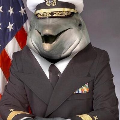 Profile Picture of Adam Sims (@Adamsims5) on Twitter