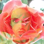 Profile Picture of Richard Connolly (@mfn_starboiii) on Instagram