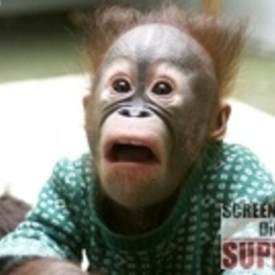 Profile Picture of Jay Jessup (@JayJessup) on Twitter