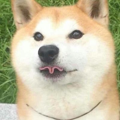 Profile Picture of Floatie Float (@DavidGenis1) on Twitter